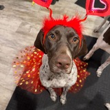 Entry image for Lady Bird