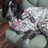 Entry image for Juneaux 