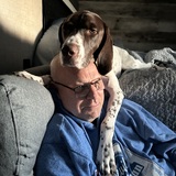 Entry image for Homer