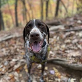 Entry image for Belou “Bubba”