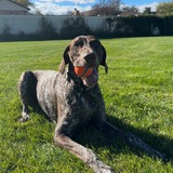 Entry image for Kooper