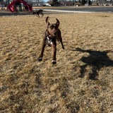 Entry image for Tilly