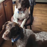 Entry image for Dunkin and Baskin 