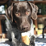 Entry image for Daryl