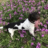 Entry image for Boudreaux