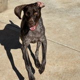 Entry image for Daisy