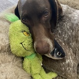 Entry image for Radley