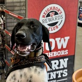 Entry image for Goose