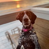 Entry image for Ellie Mae 