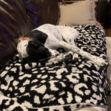 Entry image for Jill