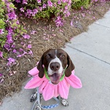 Entry image for Karma 