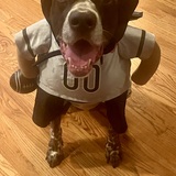 Entry image for Karma 