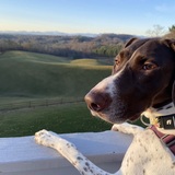 Entry image for Willa