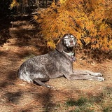 Entry image for Katie