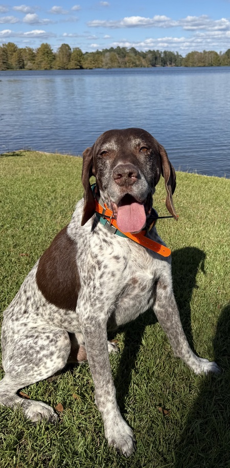 Entry image for Luke. Clicking this image will show a larger photo