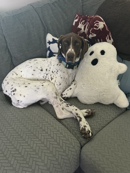 Entry image for Maui. Clicking this image will show a larger photo