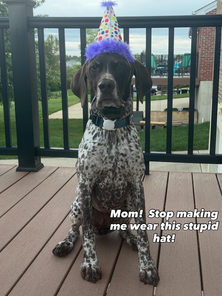 Entry image for Mayz . Clicking this image will show a larger photo