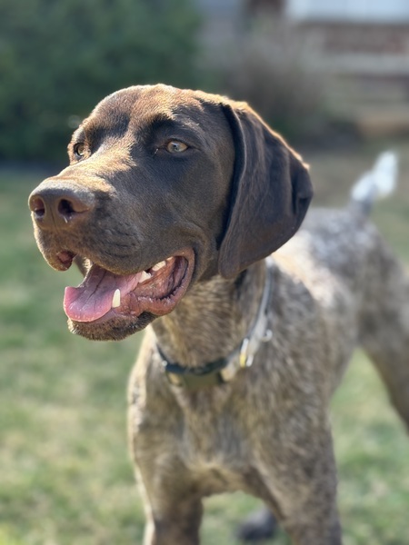 Entry image for River. Clicking this image will show a larger photo