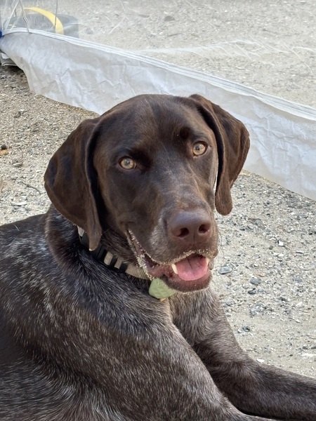 Entry image for River. Clicking this image will show a larger photo