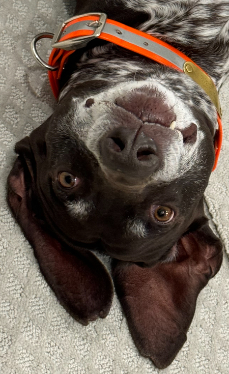 Entry image for Jeter. Clicking this image will show a larger photo