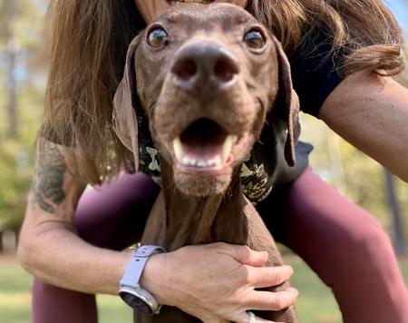 Entry image for Junie. Clicking this image will show a larger photo