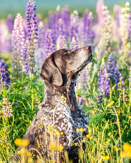 Entry image for Erma Opal. Clicking this image will show a larger photo