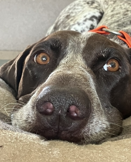 Entry image for Misu. Clicking this image will show a larger photo