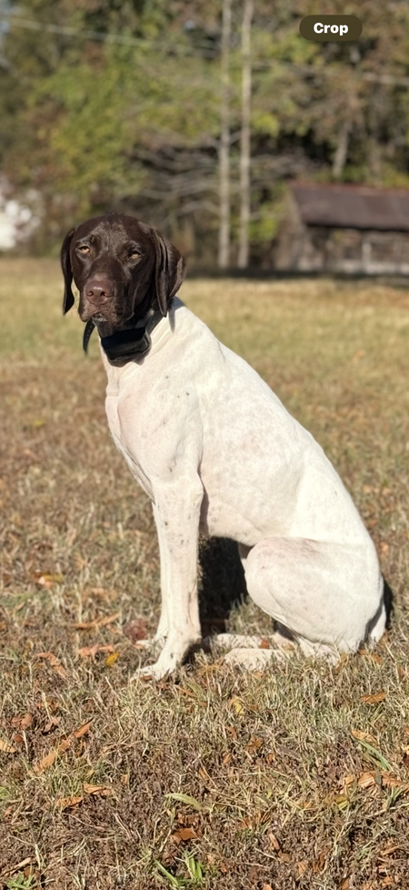 Entry image for Winnie . Clicking this image will show a larger photo