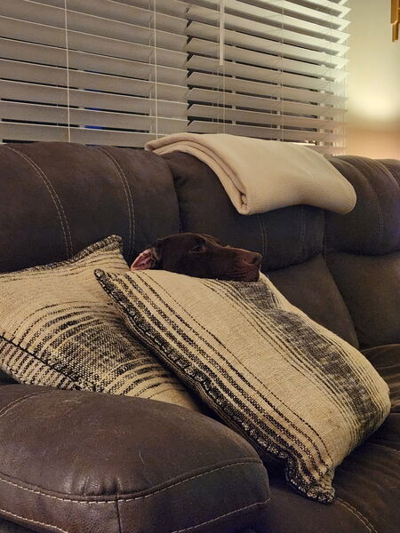 Entry image for Chester - 2023 TN alumni . Clicking this image will show a larger photo