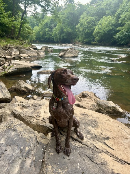 Entry image for Riko. Clicking this image will show a larger photo