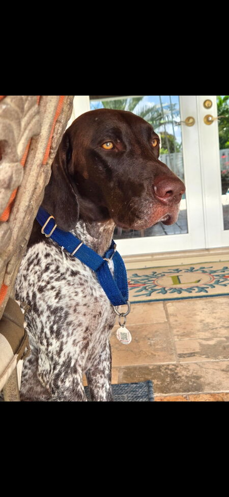 Entry image for Sev. Clicking this image will show a larger photo