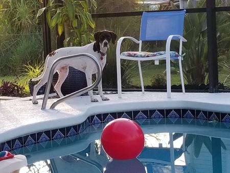 Entry image for EVA. Clicking this image will show a larger photo