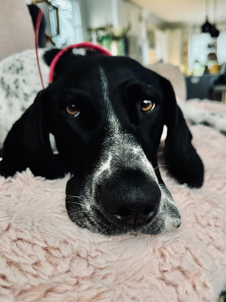 Entry image for MIA . Clicking this image will show a larger photo