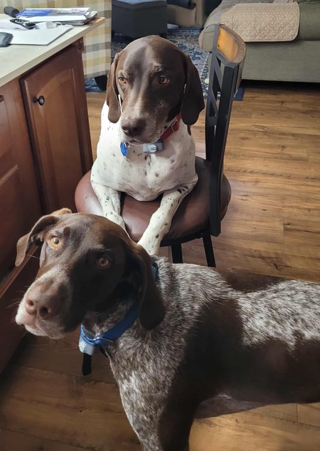 Entry image for Dunkin and Baskin . Clicking this image will show a larger photo