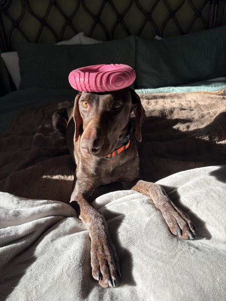 Entry image for Coco Chanel. Clicking this image will show a larger photo