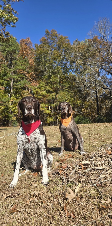 Entry image for Trigger & Gauge. Clicking this image will show a larger photo