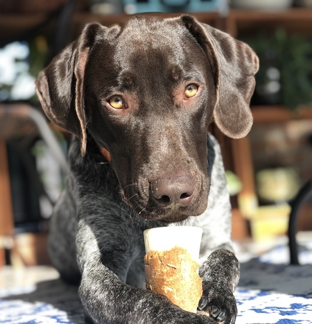 Entry image for Daryl. Clicking this image will show a larger photo