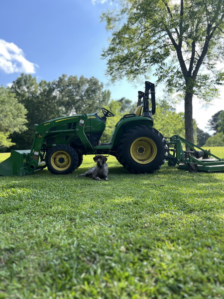 Entry image for Duke . Clicking this image will show a larger photo