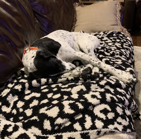 Entry image for Jill. Clicking this image will show a larger photo