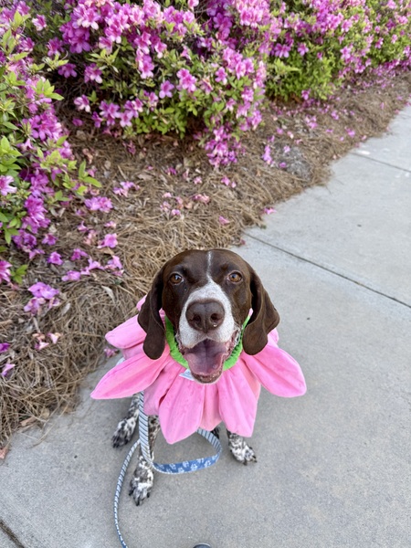 Entry image for Karma . Clicking this image will show a larger photo