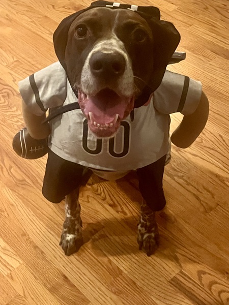 Entry image for Karma . Clicking this image will show a larger photo