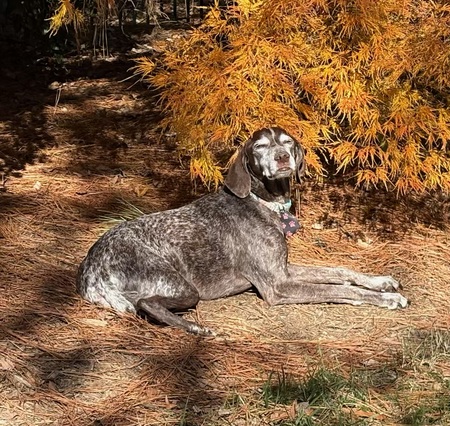 Entry image for Katie. Clicking this image will show a larger photo