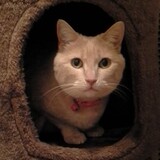 Entry image for Khaki