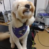 Entry image for Dublin