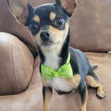 Entry image for Preston James