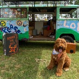 Entry image for Anna