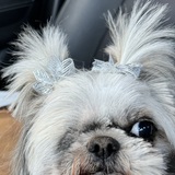 Entry image for Tesha Jane