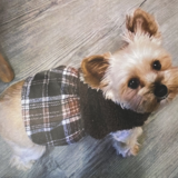 Entry image for Cupcake