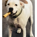 Entry image for Hannah