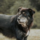 Entry image for Franklin Michael